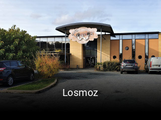 Losmoz