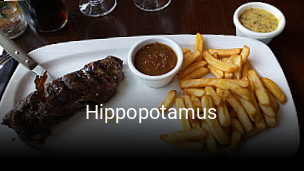 Hippopotamus