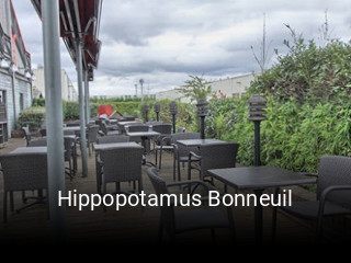 Hippopotamus Bonneuil