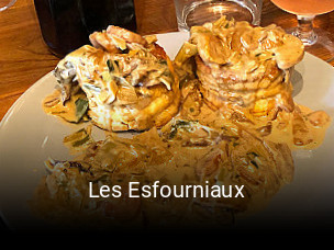 Les Esfourniaux