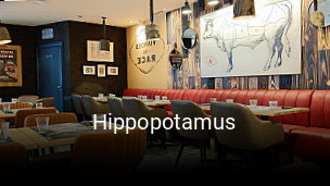 Hippopotamus