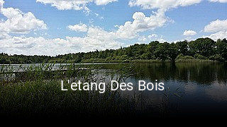 L'etang Des Bois