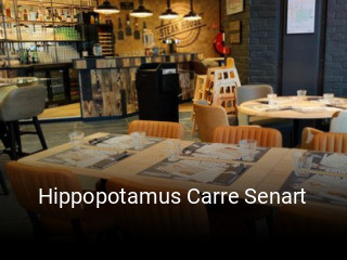 Hippopotamus Carre Senart