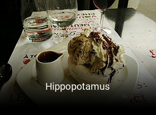 Hippopotamus