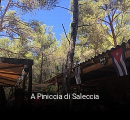 A Piniccia di Saleccia